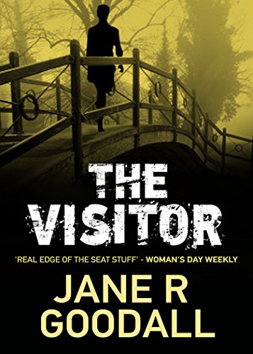 The Visitor