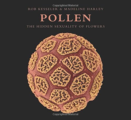 Pollen